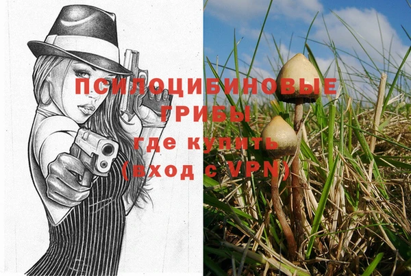 прущая мука Магас